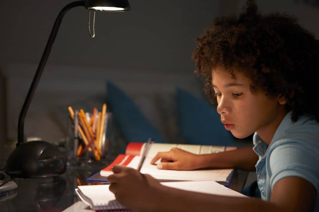 A learner's Genius hour